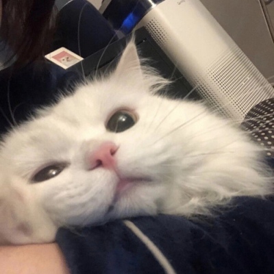 世界杯正规的竞猜-世界杯正规的竞猜最新版v7.35.123-2265安卓网